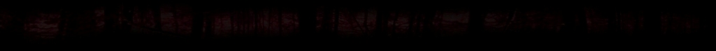 Trees 2